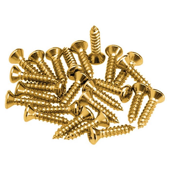 Fender Genuine Replacement Part pickguard screws 24pcs, gold