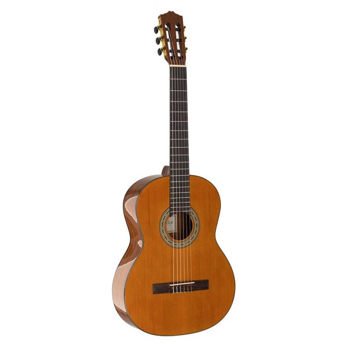 Salvador Student Series classic guitar cedar  sapele, glossy finish