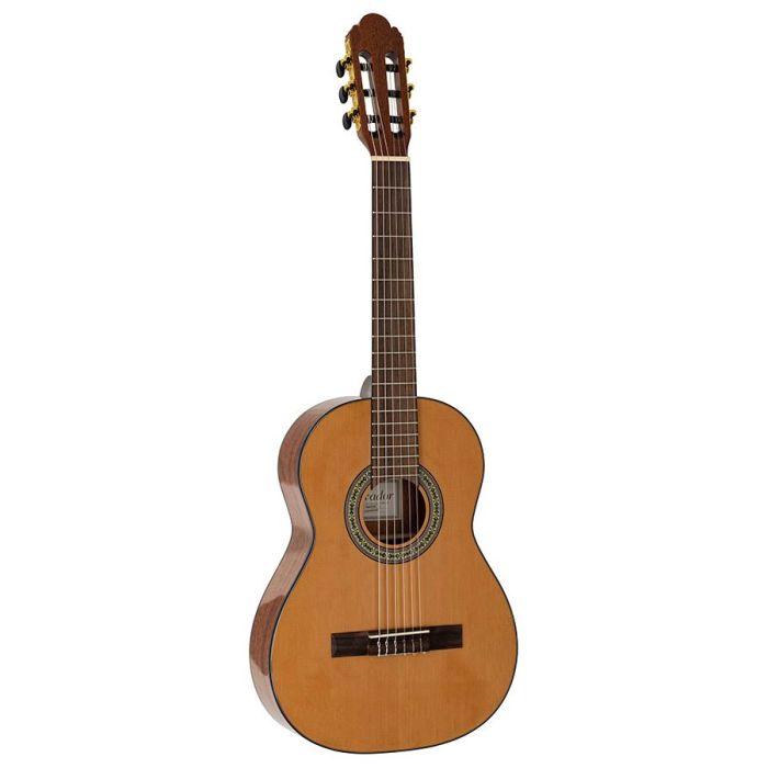 Salvador Student Series classic guitar cedar  sapele, glossy finish - SENORITA 630mm scale