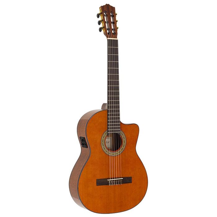 Salvador Student Series classic guitar cedar  sapele, glossy finish - with cutaway and Fishman Clasica II