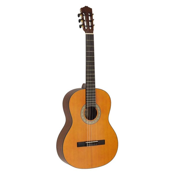 Salvador Student Series classic guitar cedar  sapele, open pore finish