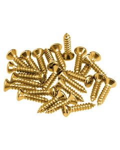 Fender Genuine Replacement Part pickguard screws 24pcs, gold