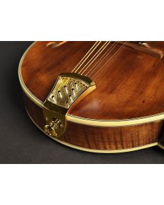 Boston Super Packer tailpiece mandolin, open model, gold