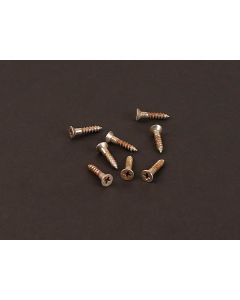 Boston Master Relic Series mounting ring screws, flat head 2.4 x13mm, 8/pack, nickel relic for two pickups