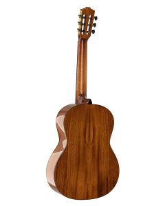 Salvador Student Series classic guitar cedar  sapele, glossy finish