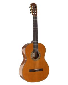 Salvador Student Series classic guitar cedar  sapele, glossy finish