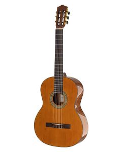 Salvador Student Series classic guitar cedar  sapele, glossy finish -  lefthanded