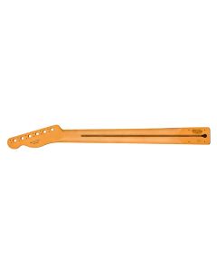 Fender Genuine Replacement Part Player Plus Telecaster Neck, 12" radius, 22 medium jumbo frets, pau ferro fingerboard