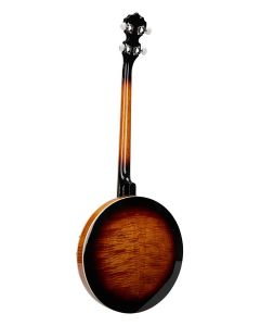 SX 4 string banjo, vintage sunburst glossy, with bag